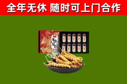 盐城回收冬虫夏草价格
